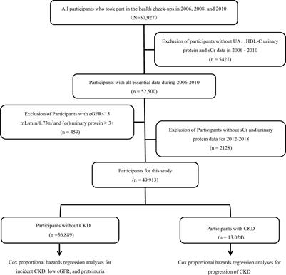 Association between cumulative uric acid to high-density lipoprotein cholesterol ratio and the incidence and progression of chronic kidney disease